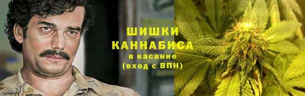 винт Богданович
