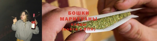 гашик Белокуриха