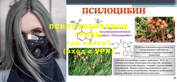 крисы Белоозёрский