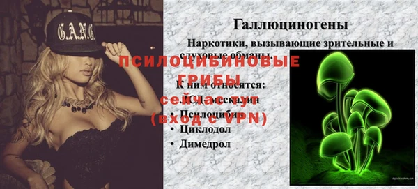 крисы Белоозёрский