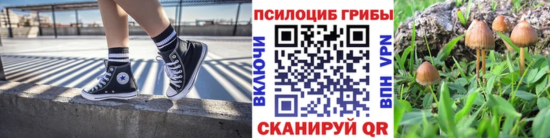 Галлюциногенные грибы Cubensis  Касимов 
